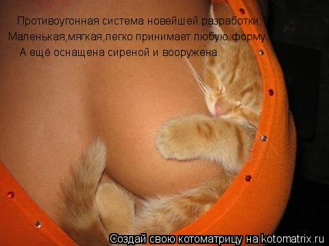 Котоматрица: Противоугонная система новейшей разработки. Маленькая,мягкая,легко принимает любую форму. А ещё оснащена сиреной и вооружена.