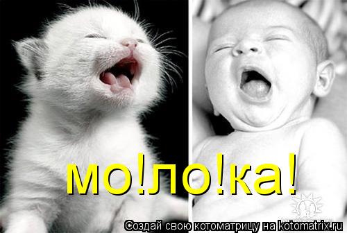 Котоматрица: мо!ло!ка!