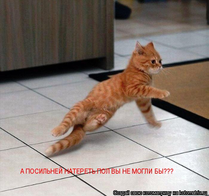 Котоматрица: А ПОСИЛЬНЕЙ НАТЕРЕТЬ ПОЛ ВЫ НЕ МОГЛИ БЫ???