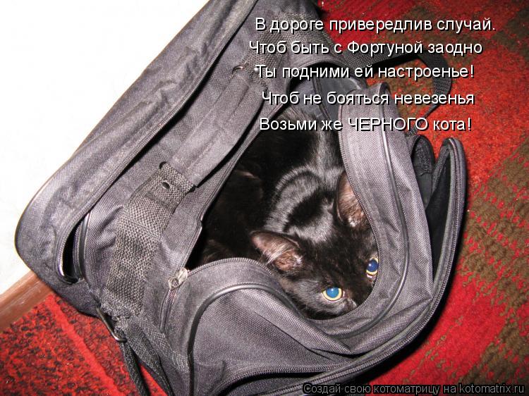 Котоматрица: В дороге привередлив случай… Чтоб быть с Фортуной заодно Ты подними ей настроенье! Чтоб не бояться невезенья Возьми же ЧЕРНОГО кота!