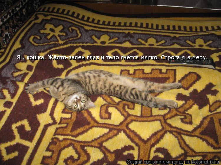 Котоматрица: Я – кошка. Жёлто-зелен глаз и тело гнётся мягко. Строга я в меру.