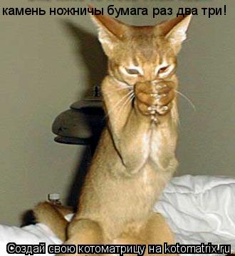 Котоматрица: камень ножничы бумага раз два три!