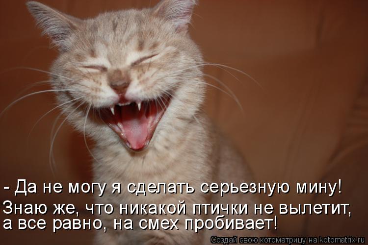 - Да не могу я сделать серьезную мину! Знаю же, что никакой птички не вылетит, а все равно, на смех п... Котоматрица: - Да не могу я сделать серьезную мину! Знаю же, что никакой птички не вылетит, а все равно, на смех пробивает!