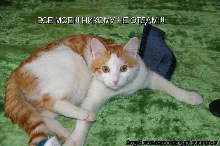 Котоматрица: ВСЕ МОЕ!!! НИКОМУ НЕ ОТДАМ!!!