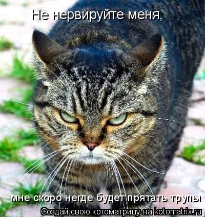 Не нервируйте меня, мне скоро негде будет прятать трупы... Котоматрица: Не нервируйте меня, мне скоро негде будет прятать трупы