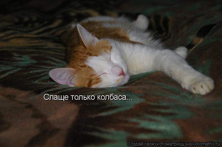 Слаще только колбаса...... Котоматрица: Слаще только колбаса...