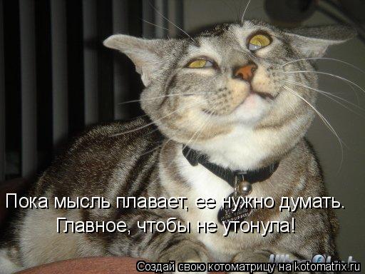 Пока мысль плавает, ее нужно думать. Главное, чтобы не утонула!... Котоматрица: Пока мысль плавает, ее нужно думать. Главное, чтобы не утонула!