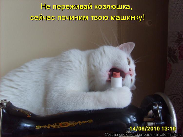 Не переживай хозяюшка, сейчас починим твою машинку!... Котоматрица: Не переживай хозяюшка, сейчас починим твою машинку!