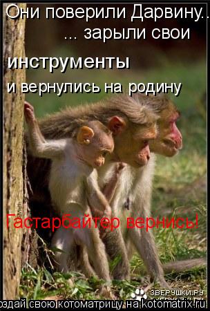 Котоматрица: Они поверили Дарвину... и вернулись на родину ... зарыли свои инструменты Гастарбайтер вернись!