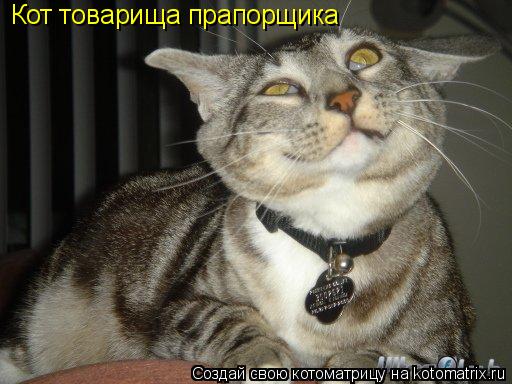Котоматрица: Кот товарища прапорщика