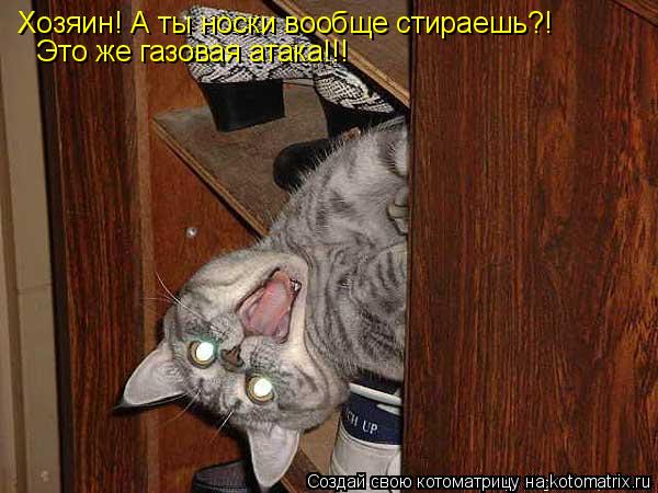 Котоматрица: Хозяин! А ты носки вообще стираешь?! Это же газовая атака!!!
