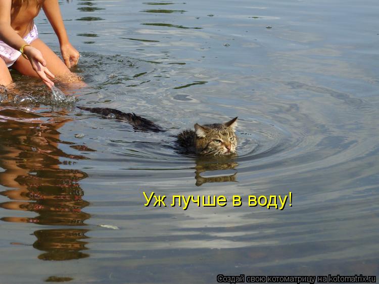 Котоматрица: Уж лучше в воду!