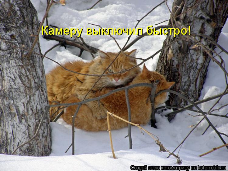 Котоматрица: Камеру выключил быстро!