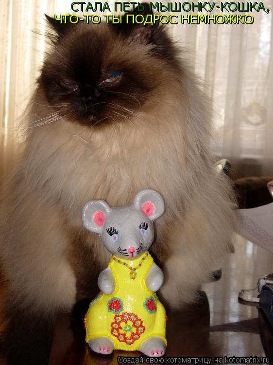 Котоматрица: СТАЛА ПЕТЬ МЫШОНКУ-КОШКА,ЧТО-ТО ТЫ ПОДРОС НЕМНОЖКО СТАЛА ПЕТЬ МЫШОНКУ-КОШКА, ЧТО-ТО ТЫ ПОДРОС НЕМНОЖКО ЧТО-ТО ТЫ ПОДРОС НЕМНОЖКО