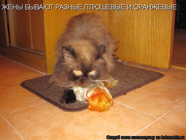 Котоматрица: ЖЕНЫ БЫВАЮТ РАЗНЫЕ,ПЛЮШЕВЫЕ И ОРАНЖЕВЫЕ