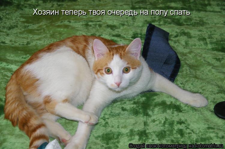 Хозяин теперь твоя очередь на полу спать... Котоматрица: Хозяин теперь твоя очередь на полу спать