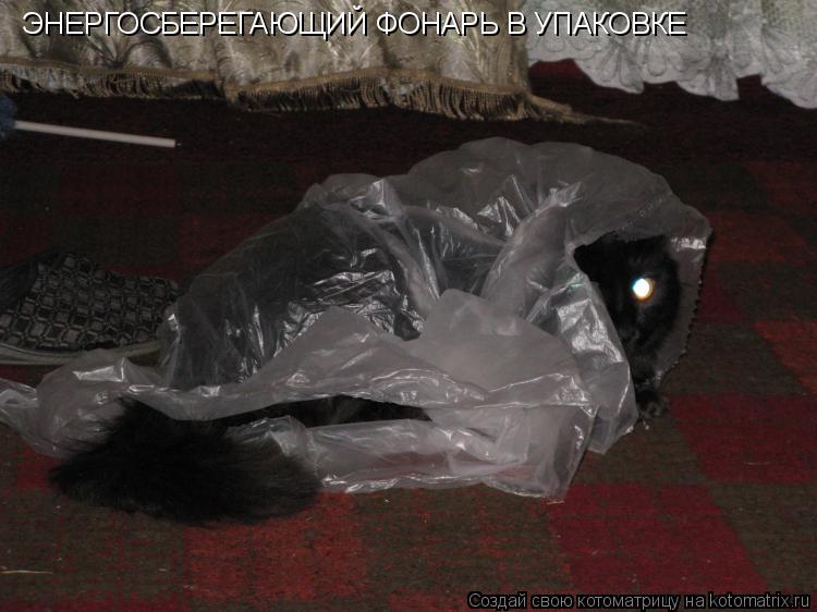 ЭНЕРГОСБЕРЕГАЮЩИЙ ФОНАРЬ В УПАКОВКЕ... Котоматрица: ЭНЕРГОСБЕРЕГАЮЩИЙ ФОНАРЬ В УПАКОВКЕ