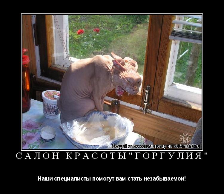 Котоматрица: Салон красоты"Горгулия" Наши специалисты помогут вам стать незабываемой!