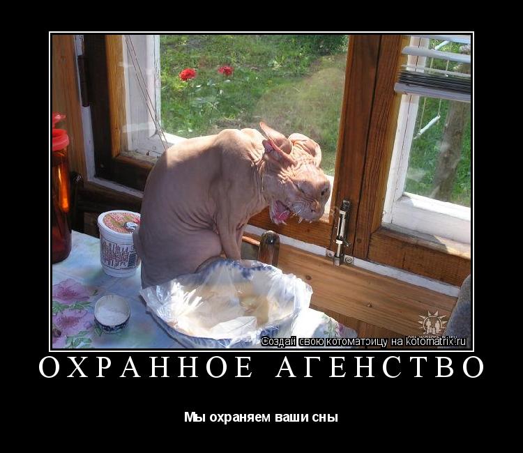 Котоматрица: Охранное агенство Мы охраняем ваши сны