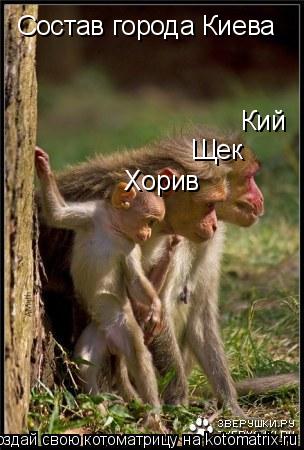 Котоматрица: Кий Щек Хорив Состав города Киева
