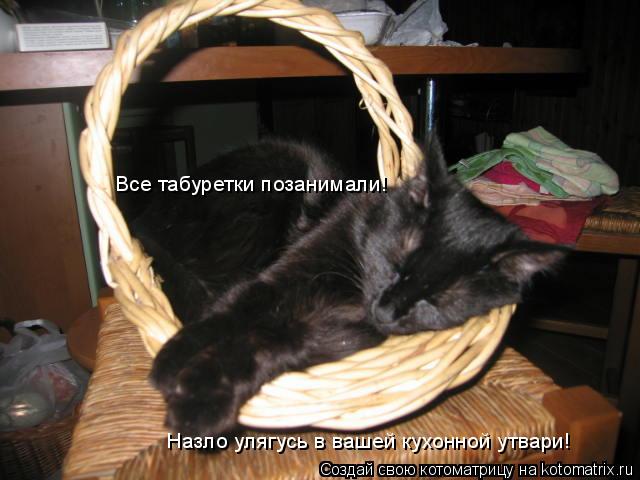 Котоматрица: Все табуретки позанимали!  Назло улягусь в вашей кухонной утвари!