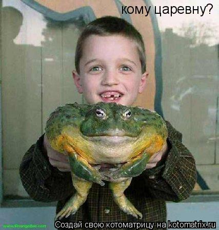 Котоматрица: кому царевну?