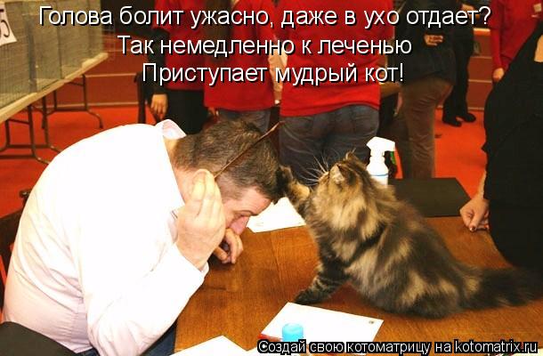 Котоматрица: Приступает мудрый кот! Голова болит ужасно, даже в ухо отдает? Так немедленно к леченью