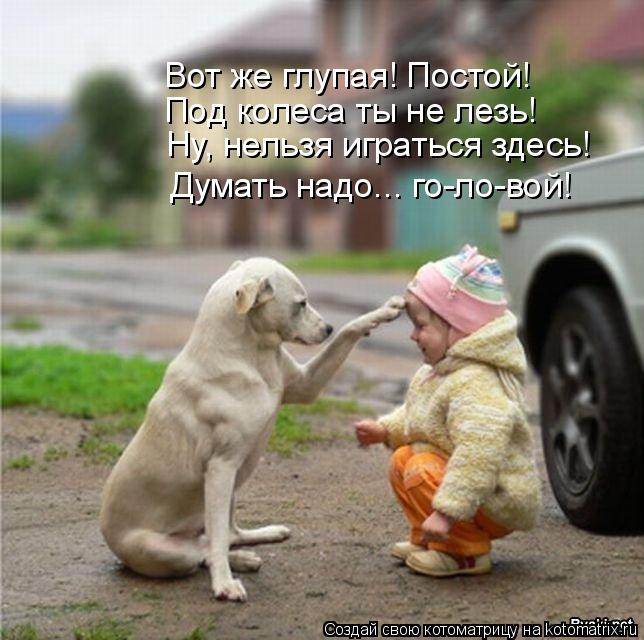 Вот же глупая! Постой! Под колеса ты не лезь! Ну, нельзя играться здесь! Думать надо... го-ло-вой!... Котоматрица: Вот же глупая! Постой! Под колеса ты не лезь! Ну, нельзя играться здесь! Думать надо... го-ло-вой!