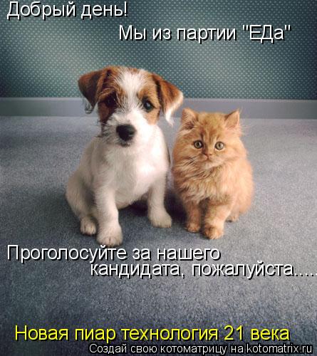 Котоматрица: Добрый день! Мы из партии "ЕДа" Проголосуйте за нашего  кандидата, пожалуйста...... Новая пиар технология 21 века