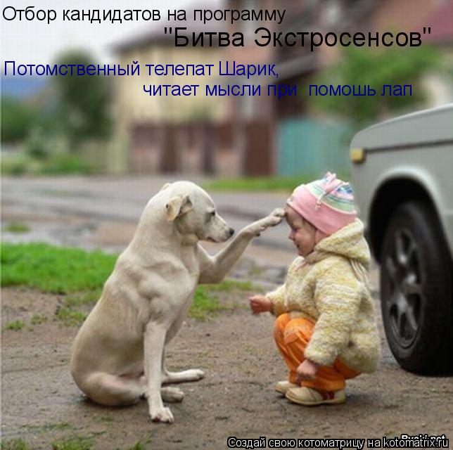 Котоматрица: Отбор кандидатов на прогграму "Битва Экстросенсов" Отбор кандидатов на программу  "Битва Экстросенсов" Потомственный телепат Шарик,  читае