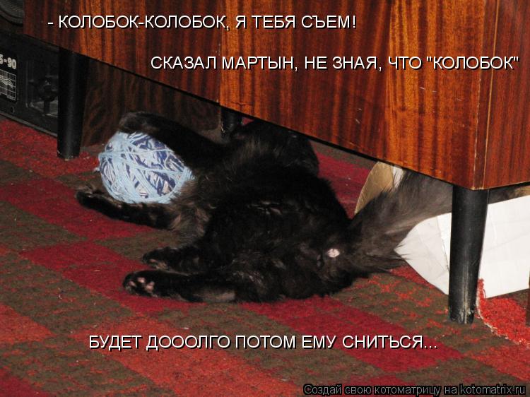Котоматрица: - КОЛОБОК-КОЛОБОК, Я ТЕБЯ СЪЕМ! СКАЗАЛ МАРТЫН, НЕ ЗНАЯ, ЧТО "КОЛОБОК" БУДЕТ ДОООЛГО ПОТОМ ЕМУ СНИТЬСЯ...