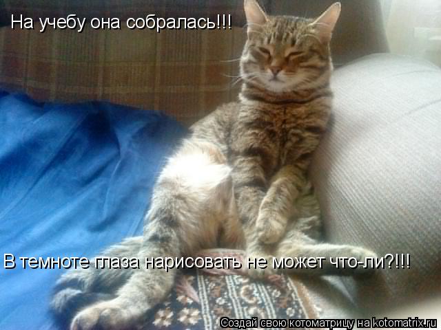 Котоматрица: На учебу она собралась!!! В темноте глаза нарисовать не может что-ли?!!!