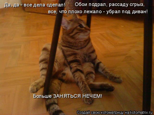 Котоматрица: Да, да - все дела сделал! Обои подрал, рассаду сгрыз, все, что плохо лежало - убрал под диван! Больше ЗАНЯТЬСЯ НЕЧЕМ!
