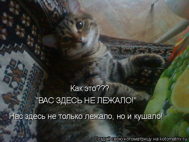 Котоматрица: Как это??? "ВАС ЗДЕСЬ НЕ ЛЕЖАЛО!" Нас здесь не только лежало, но и кушало!