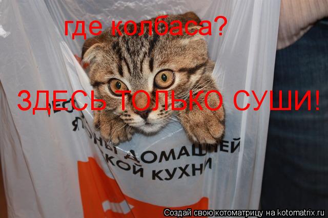 Котоматрица: где колбаса? ЗДЕСЬ ТОЛЬКО СУШИ!