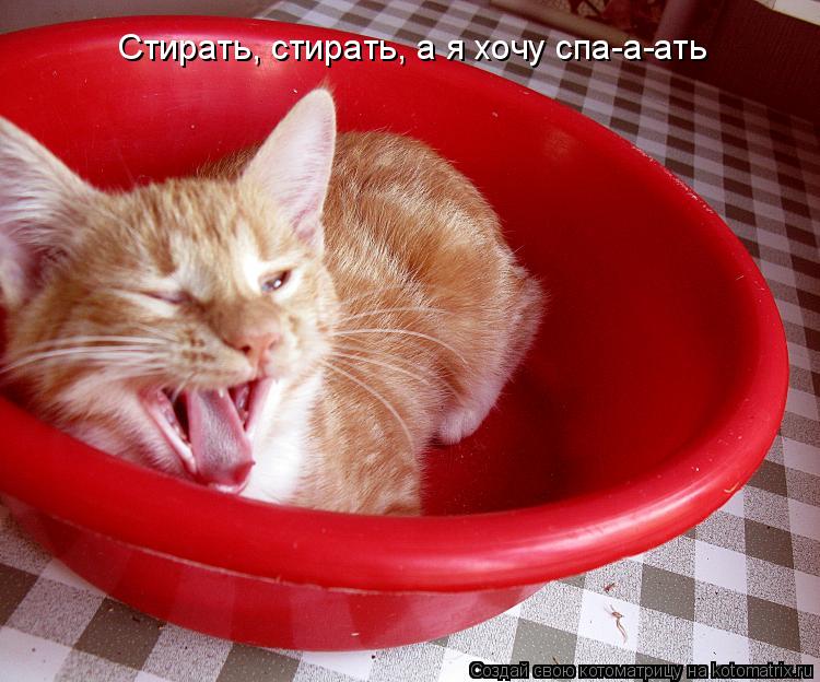Котоматрица: Стирать, стирать, а я хочу спа-а-ать