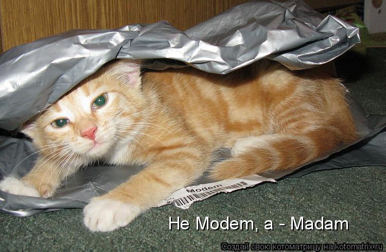 Котоматрица: Не Modem, а - Madam
