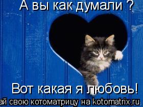 А вы как думали ? Вот какая я любовь!... Котоматрица: А вы как думали ? Вот какая я любовь!