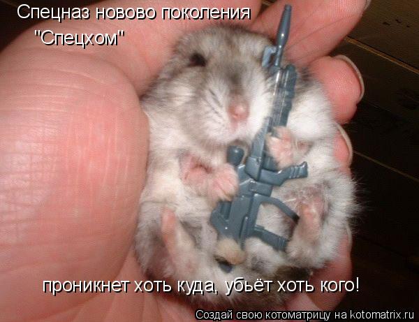 Спецназ новово поколения "Спецхом" проникнет хоть куда, убьёт хоть кого!... Котоматрица: Спецназ новово поколения "Спецхом" проникнет хоть куда, убьёт хоть кого!
