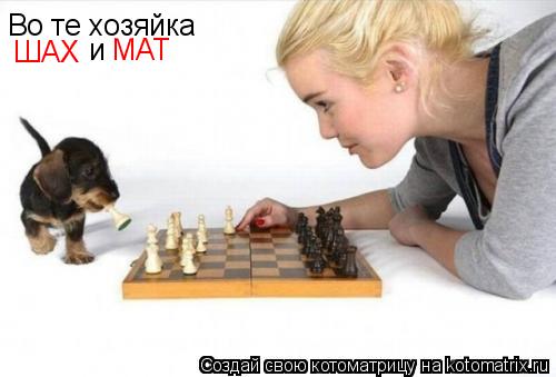 Во те хозяйка ШАХ и МАТ... Котоматрица: Во те хозяйка ШАХ и МАТ