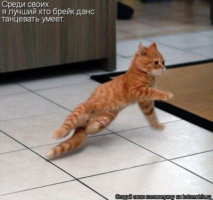 Среди своих я лучший кто брейк данс танцевать умеет.... Котоматрица: Среди своих я лучший кто брейк данс танцевать умеет.