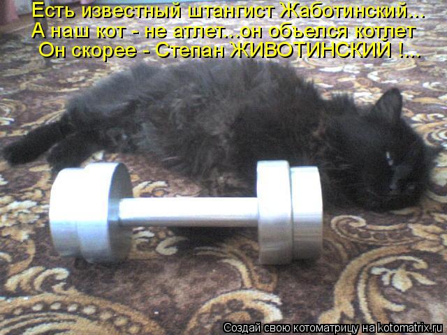 Котоматрица: Он скорее - Степан ЖИВОТИНСКИЙ !... А наш кот - не атлет...он объелся котлет Есть известный штангист Жаботинский...