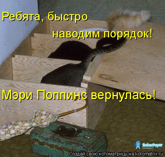 Ребята, быстро наводим порядок! Мэри Поппинс вернулась!... Котоматрица: Ребята, быстро наводим порядок! Мэри Поппинс вернулась!