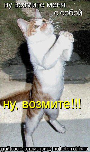 ну возмите меня с собой ну, возмите!!!... Котоматрица: ну возмите меня с собой ну, возмите!!!
