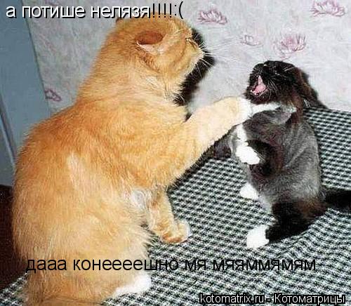 а потише нелязя дааа конеееешно мя мяяммямям !!!! :(... Котоматрица: а потише нелязя дааа конеееешно мя мяяммямям !!!! :(