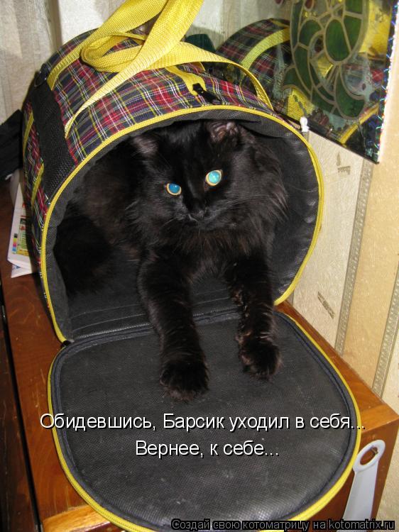 Обидевшись, Барсик уходил в себя... Вернее, к себе...... Котоматрица: Обидевшись, Барсик уходил в себя... Вернее, к себе...