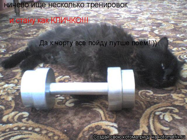ничево ище несколько тренировок и стану как КЛИЧКО!!! Да к чорту все пойду лутше поем!:))... Котоматрица: ничево ище несколько тренировок и стану как КЛИЧКО!!! Да к чорту все пойду лутше поем!:))