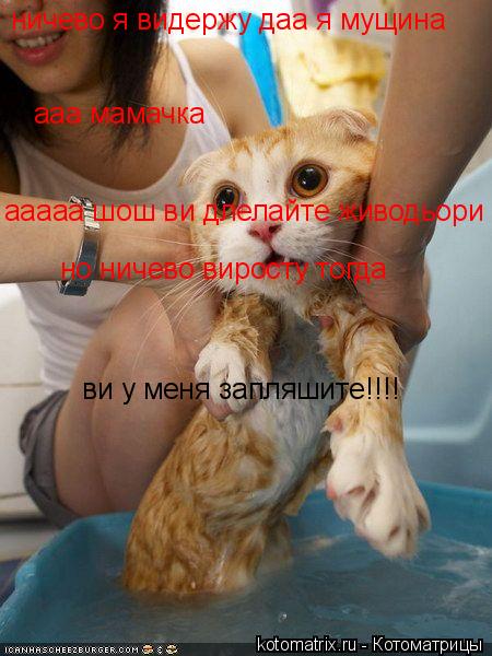 ничево я видержу даа я мущина ааа мамачка ааааа шош ви длелайте живодьори но ничево виросту тогда ви... Котоматрица: ничево я видержу даа я мущина ааа мамачка ааааа шош ви длелайте живодьори но ничево виросту тогда ви у меня запляшите!!!!
