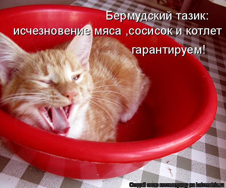 Бермудский тазик: исчезновение мяса ,сосисок и котлет гарантируем!... Котоматрица: Бермудский тазик: исчезновение мяса ,сосисок и котлет гарантируем!