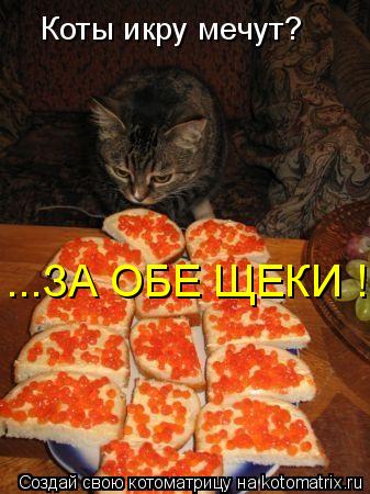 Котоматрица: ...ЗА ОБЕ ЩЕКИ ! Коты икру мечут?
